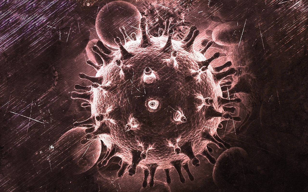 The cure of second HIV patient confirmed