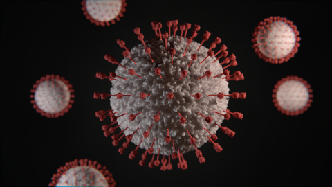 Se exhorta a los países a mantener el impulso en la lucha contra la malaria