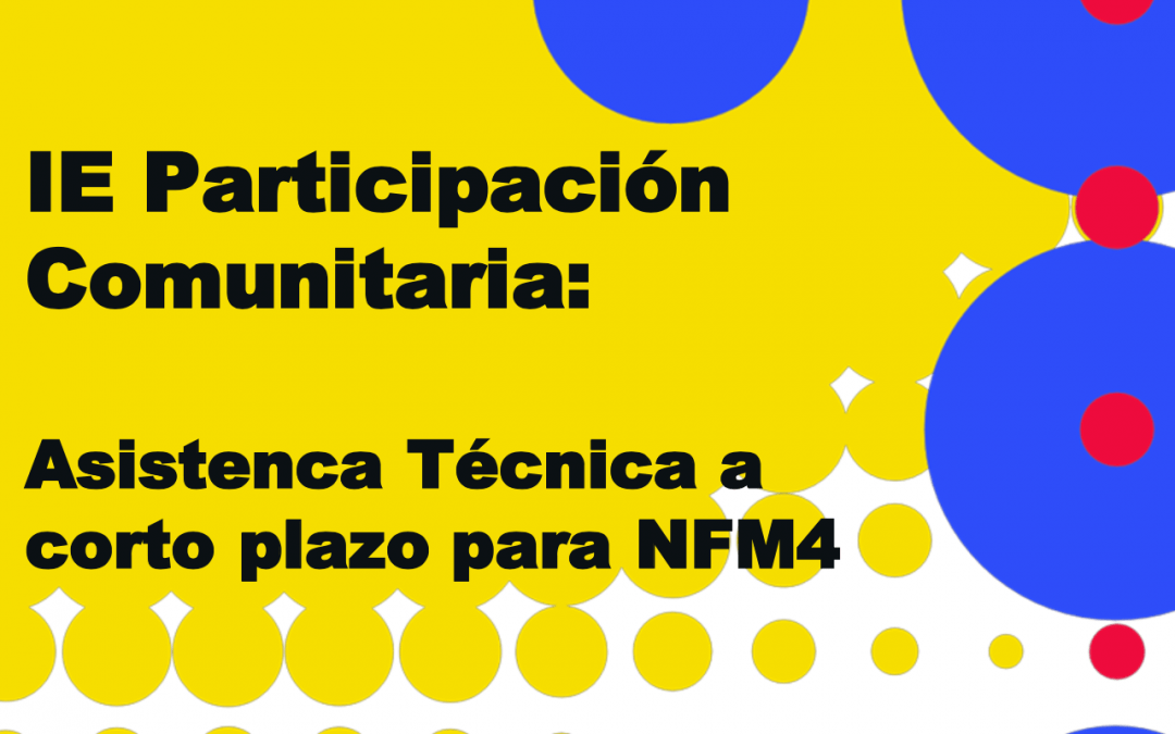 IE Participación Comunitaria: Asistencia Técnica a corto plazo para NFM4